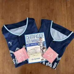 日本ハムファイターズ WE LOVE HOKKAIDOユニフォーム　２枚セット