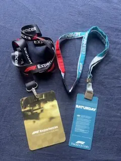 2022/鈴鹿 F1 Paddock Club 未使用パス
