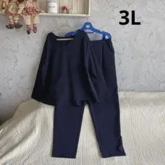 新品＊大きいサイズ　3L ナチュラル　濃紺　ストレッチ　カットソー&パンツセット