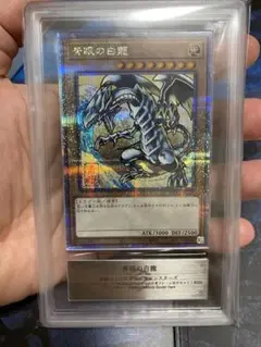 [ARS10] [鑑定] 青眼の白龍 浮世絵 台紙セット