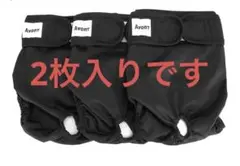 Item thumbnail for item b93afe6a-a525-4d21-a1a7-2c2591dd23b2