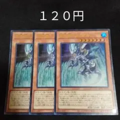 えど様 リクエスト 2点 まとめ商品