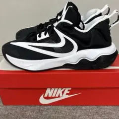 新品 NIKE ナイキ ヤニス バスケットシューズ バッシュ スニーカー黒白27
