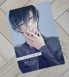 ㉔ 緋汰しっぷ スノーホワイトの毒に染む アニメイト リーフレット