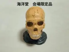 海洋堂　会場限定フィギュア　生命進化立体図鑑