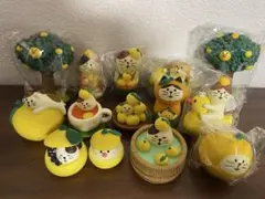 コンコンブル ゆず系色々14点