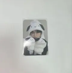イェチャン トレカ