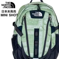 【新品即納】大人気ノースフェイス★バックパック/リュック 緑バンダナ柄ペイズリー