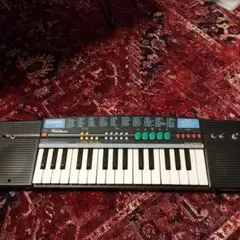 スペースブラスター＋フラッシュブラスター　カスタムサーキットベンディング FSD全装備型。 My X(twitter) has never been growing well but