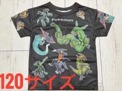 新品 ポケットモンスター 120cm 半袖 ドライTシャツ 総柄 チャコール