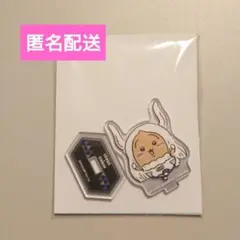 ヒロアカ×ちいかわ アクスタミルコ×うさぎ