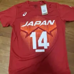石川祐希　バレーボール