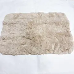 Item thumbnail for item 4921259d-bd69-42f1-96f0-4d3353b39363