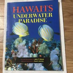 海の生き物ハワイ