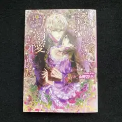 なりゆきで誘拐したら、溺愛されました ～王子様と甘い恋の攻防戦～
