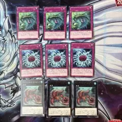 遊戯王　バージェストママーレラ　バージェストマディノミスクス　オパビニア　各3枚