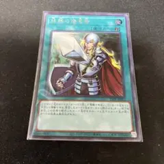 抹殺の指名者 シークレット 21PP