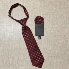 Item thumbnail for item a409ebb0-9971-48f1-8fda-9f1eb405ff50