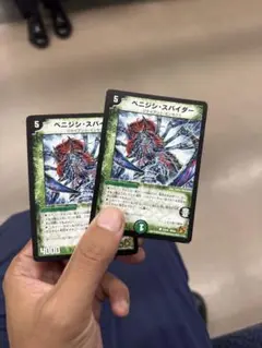 ベニジシスパイダー 2枚セット 初期