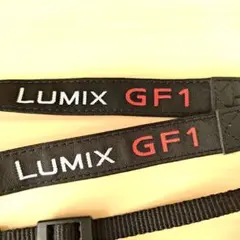 Item thumbnail for item 9e49425c-a758-43ff-91f5-222f1fdf34ad