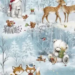 輸入生地　USAコットン(Woodland Gifts)B