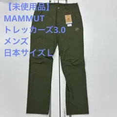 Item thumbnail for item 2c806cd1-7dbc-421e-87db-694477a02cd8