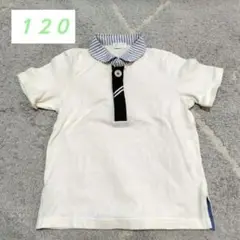 コンビミニ ポロシャツ 120