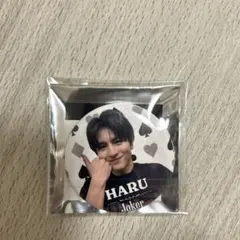 超特急 ハル 柏木悠 缶バッジ ジョーカー JOKER アリーナツアー