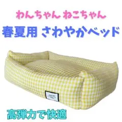 Item thumbnail for item 652b24e3-7c8b-48f4-b655-c360facd112f