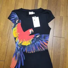 Item thumbnail for item f3b7d386-466e-48cf-9efd-b23d278f2c24