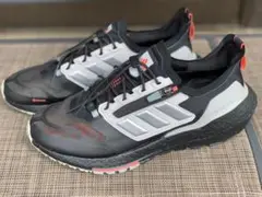 adidas ULTRABOOST21 ウルトラブースト21 GORE-TEX