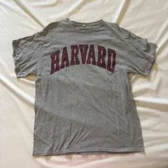 HARVARD ロゴ Tシャツ グレー