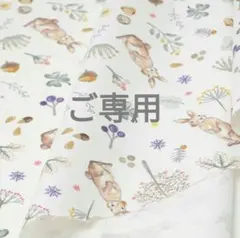 【専用ページ】