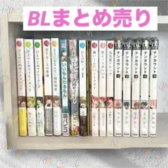 BLまとめ売り 16冊　小冊子2冊　特典ペーパー　リーフレット各1枚　　初版あり
