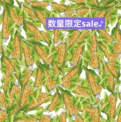 sale♪ロラライハリス生地　 Cornesque
