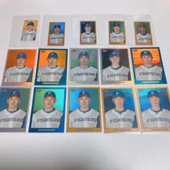 北海道日本ハムファイターズ　シリアルカード15枚セット