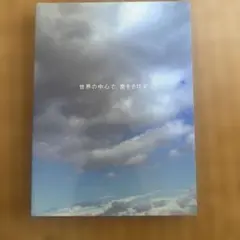 世界の中心で、愛をさけぶDVD