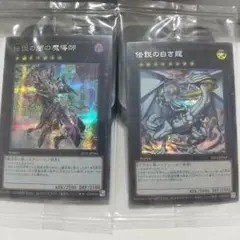 2025年最新】LEGENDARY dragon ofの人気アイテム - メルカリ