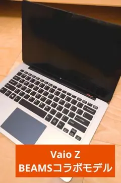 VAIO Z BEAMS特別仕様 MonotoneCrazy