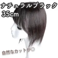 Item thumbnail for item 9d621309-18ff-4ea0-b115-0abf650d824b