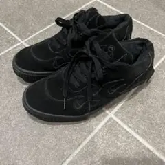 【コラボ】AIRWALK エアウォーク FLAGSTUFF フラグスタフ