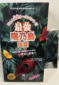 2025年最新】新政 頒布会 第二弾の人気アイテム - メルカリ