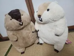 マーモット　もっとっと　BIGサイズ　2つセット　新品