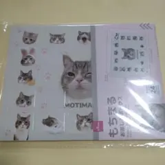 もちまる　お楽しみボックス