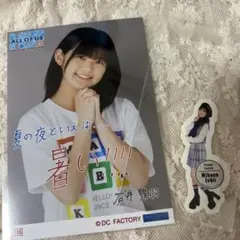 まとめ売り　セット　石井泉羽
