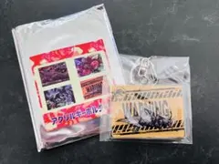 映画ジュラシックワールド　ランダムアクリルキーホルダーC WARNING