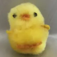 ぬいぐるみ20250901-0010