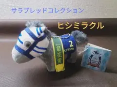 〘瑠璃鶲さま専用〙ヒシミラクル号ぬいぐるみ　AVANTI Amazon.co.jp: ヒシミラクル ぬいぐるみ AVANTI 競馬 うまむすめ
