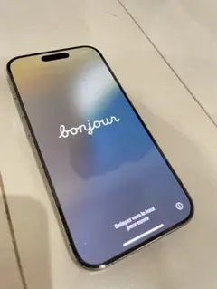 【ジャンク品・動作良好】iPhone15 Pro 256GB