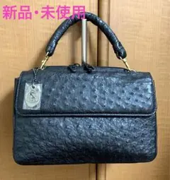 WATA-ICHI ワタイチ バッグ ハンド オーストリッチ JRA レザー